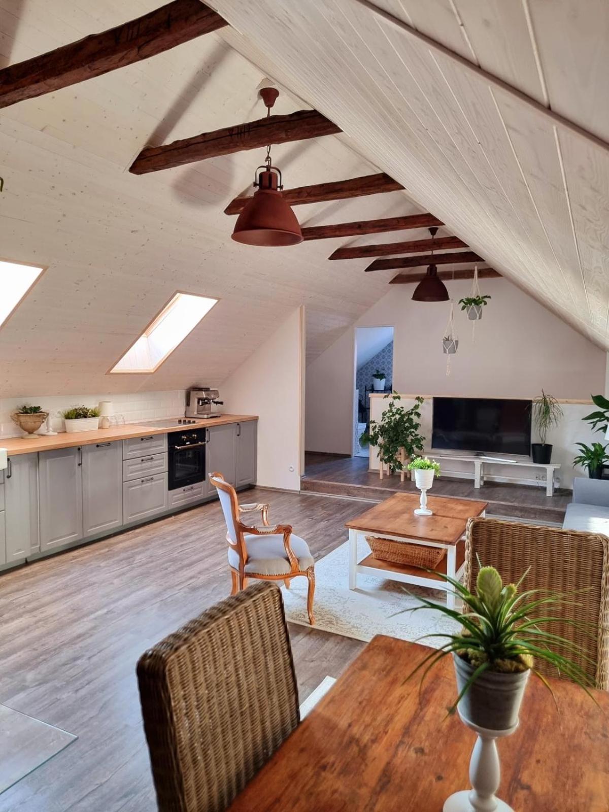 Apartman U Stef Borotice Bagian luar foto