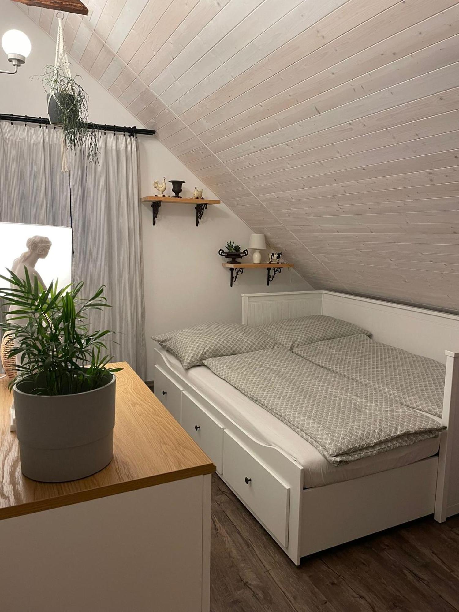 Apartman U Stef Borotice Bagian luar foto